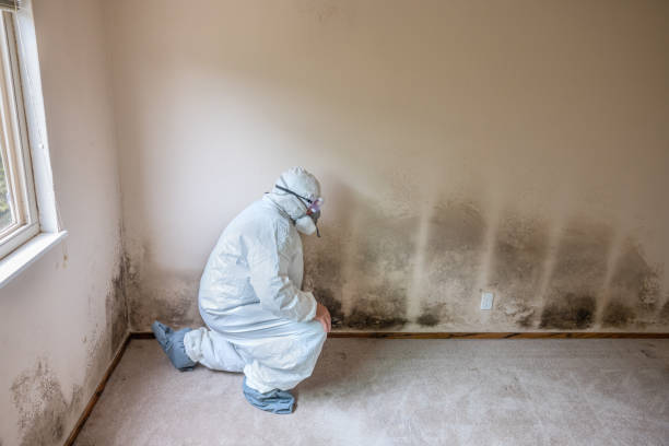 Best Crawl Space Mold Remediation  in Shawnee Hills, OH